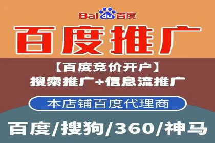 案例研究：百度竞价广告投放效果
